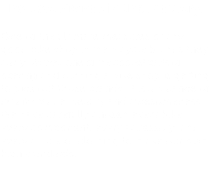 The Best Brands in the Industry. One of the ultimate measures of any good bike shop is the bicycle brands they carry. As well, one of the coolest parts of opening and running a bike shop is getting to pick out those brands. It is a balance of quality, value, beauty and awesomeness. We have carefully chosen every bike, every component, every accessory, and every article of clothing to make our own high standards.